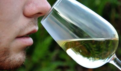 Dégustation et oenologie, Entre mets et vins, Annecy