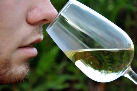 Dégustation et oenologie, Entre mets et vins, Annecy