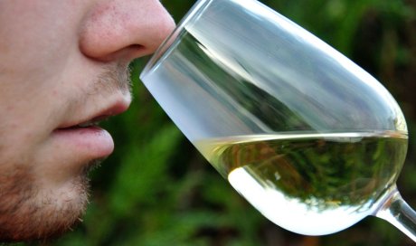 Dégustation et oenologie, Entre mets et vins, Annecy